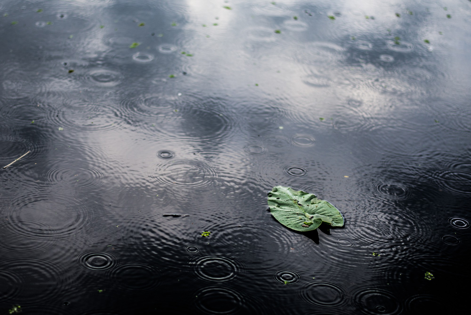 Hidrometeorološki zavod: Upozorenje na  lokalne nepogode