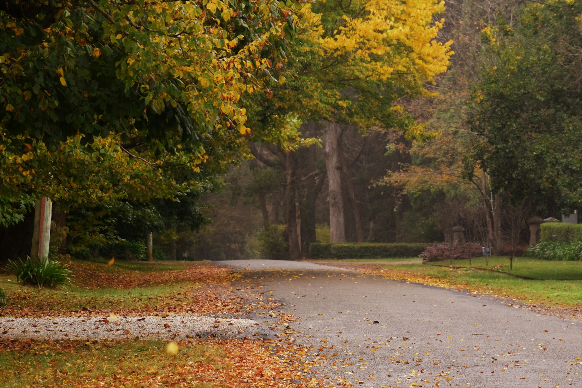 Meteorolozi najavili promjenu: Stižu kiša, grmljavina i pad temperatura Meteorolozi najavili promjenu: Stižu kiša, grmljavina i pad temperatura