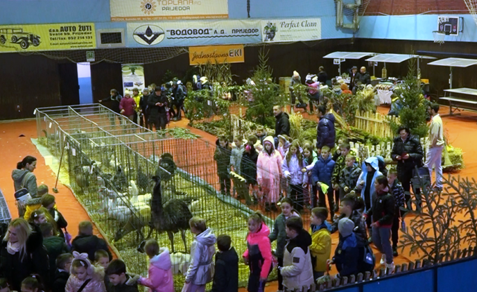 Prijedor domaćin velike izložbe sitnih životinja Prijedor domaćin velike izložbe sitnih životinja