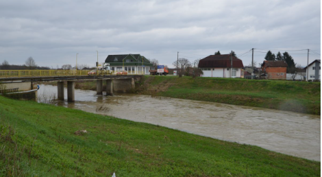 Sana stagnira, Gomjenica opada