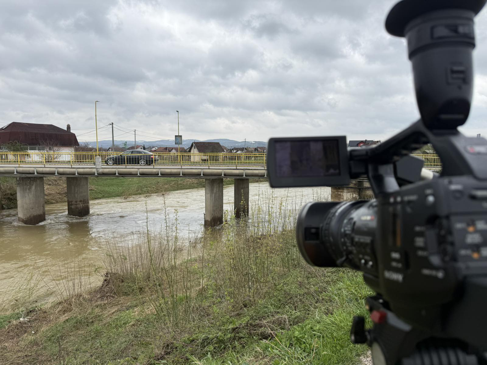 Sana u blagom porastu, Gomjenica stagnira