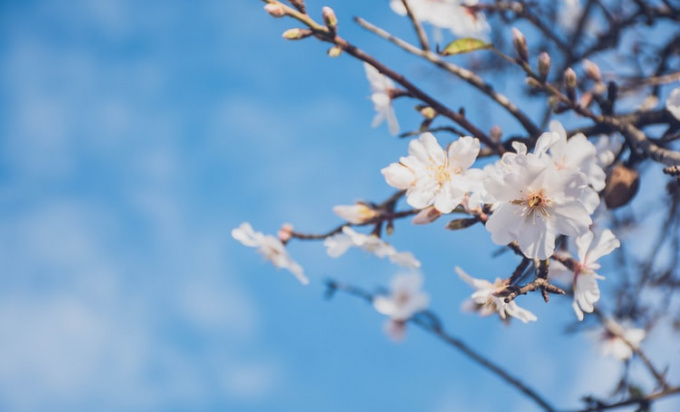 Meteo šok: Stiže topli talas