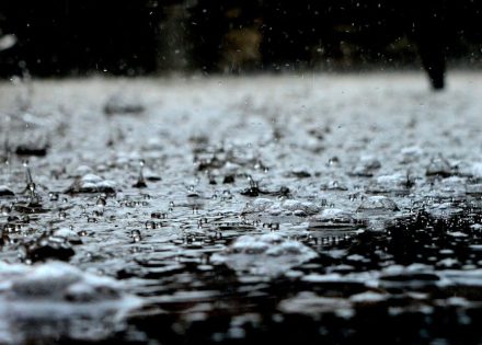 Obilna kiša u Hercegovini, udari vjetra do 60 kilometara na čas Obilna kiša u Hercegovini, udari vjetra do 60 kilometara na čas